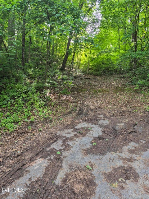 Photo #4: 134 Thomas And Webb Road