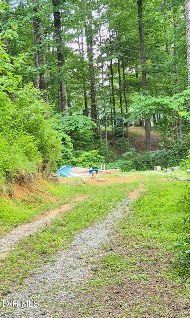 Photo #13: 134 Thomas And Webb Road