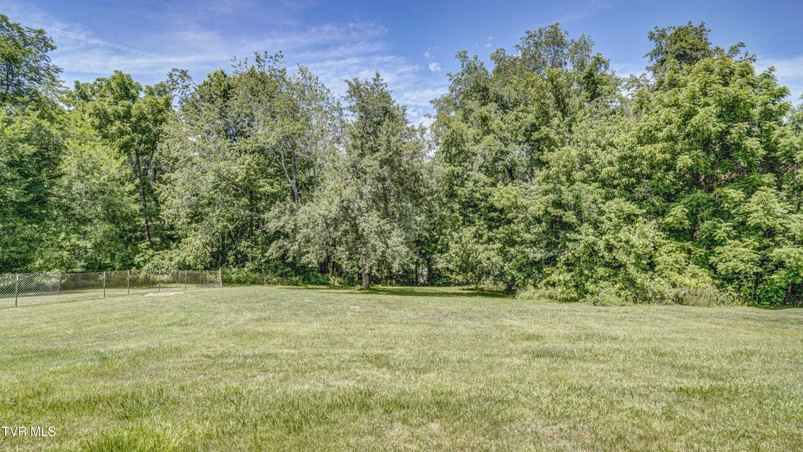 Photo #32: 273 Riverview Drive