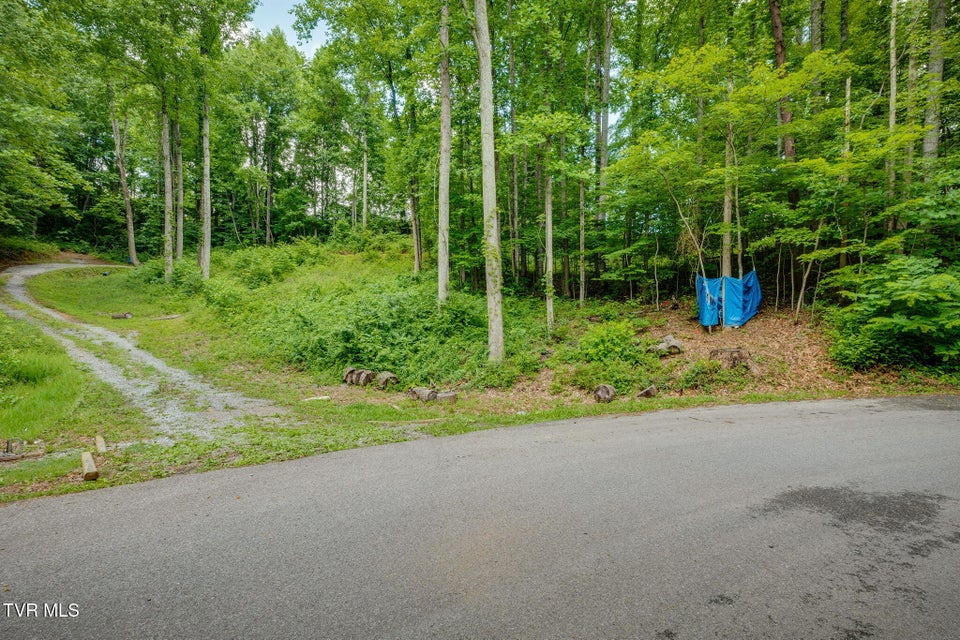 Photo #15: 134 Thomas And Webb Road