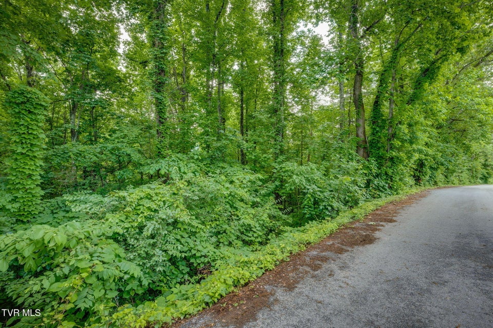 Photo #16: 134 Thomas And Webb Road