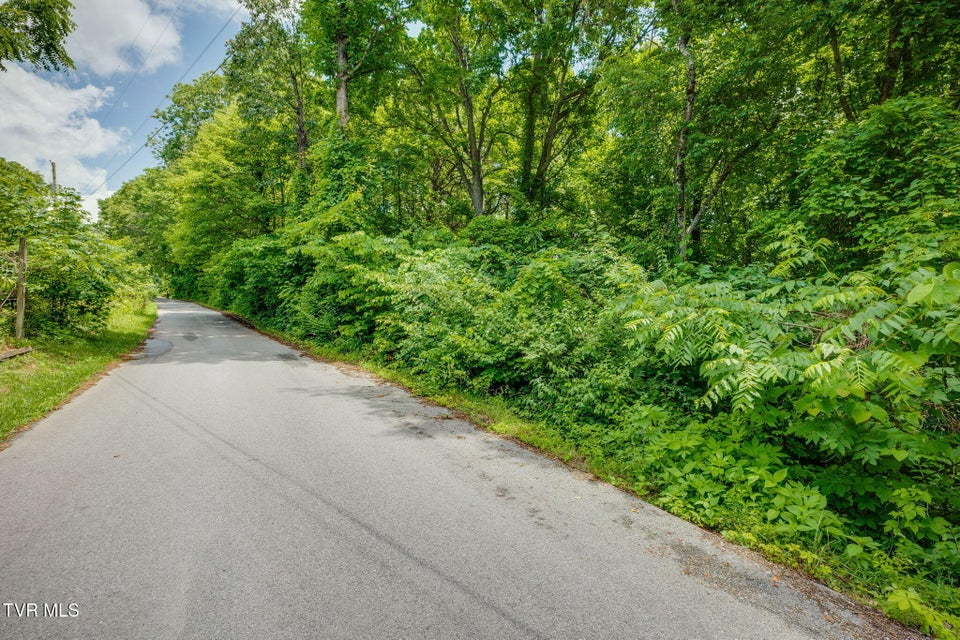 Photo #17: 134 Thomas And Webb Road