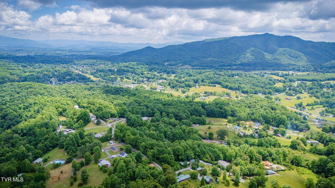 Photo #19: 134 Thomas And Webb Road