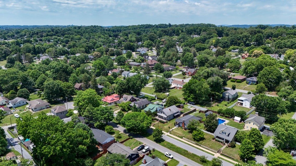 Photo #74: 909 Holston Avenue
