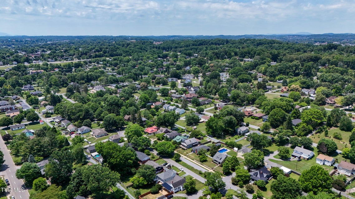 Photo #75: 909 Holston Avenue
