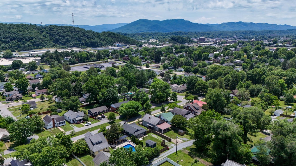Photo #79: 909 Holston Avenue
