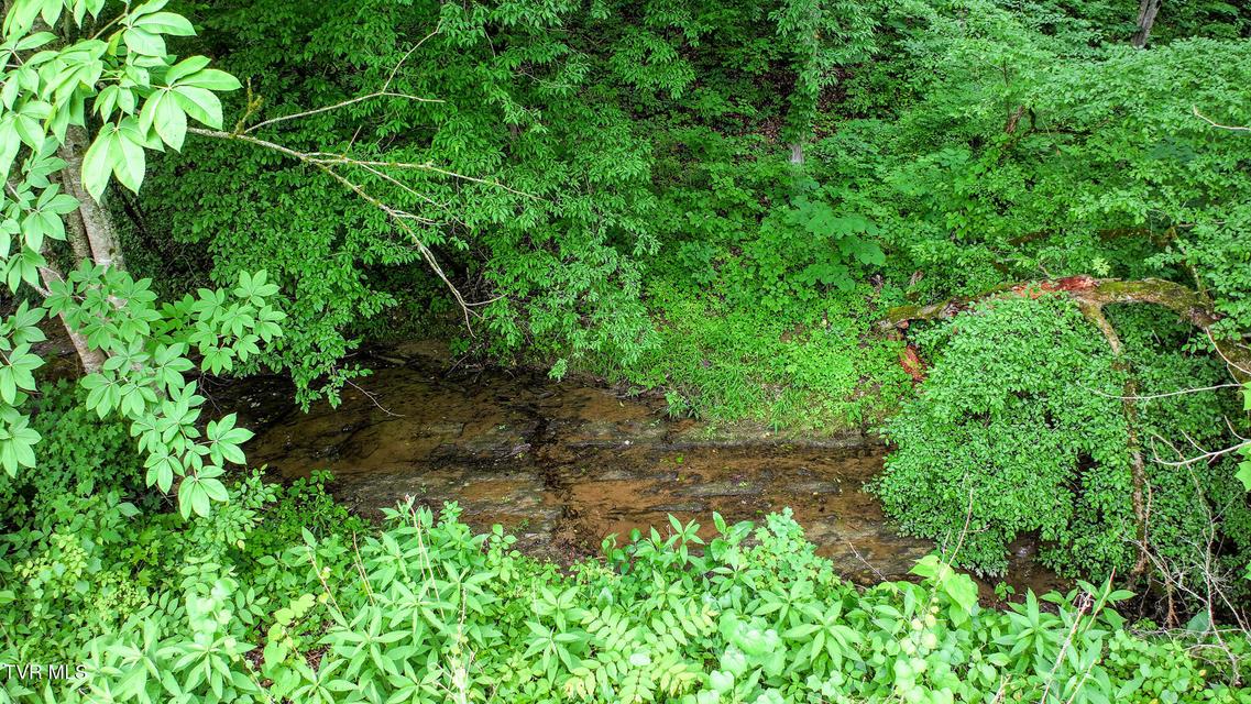 Photo #5: 103 Vinson Hollow Road