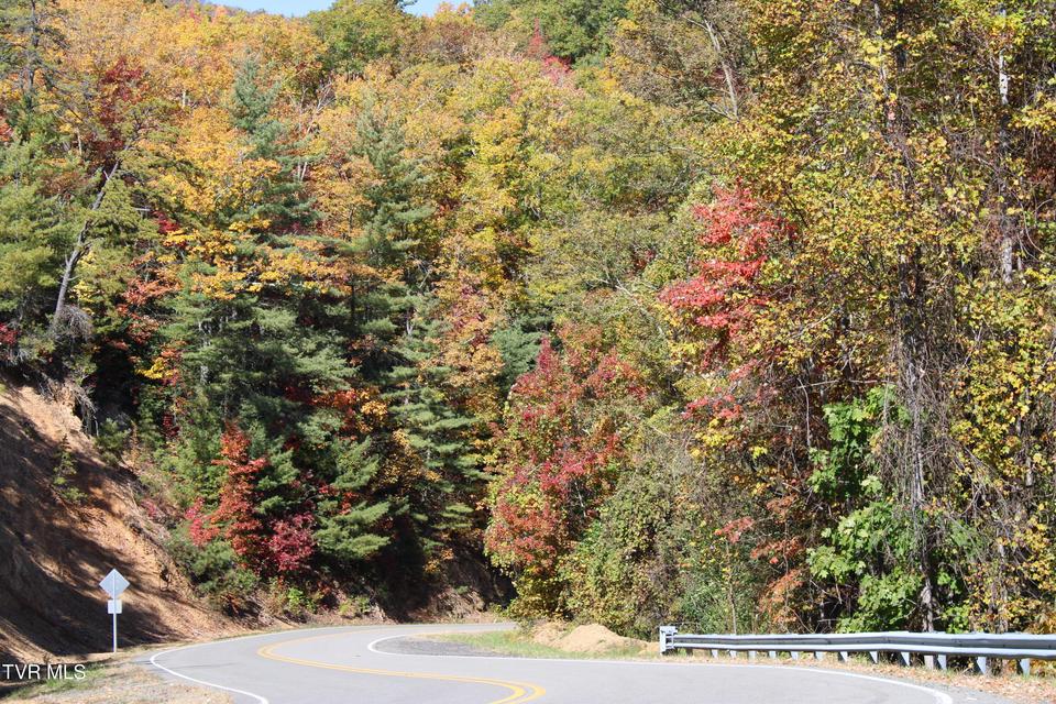 Photo #53: 807 Vista Road