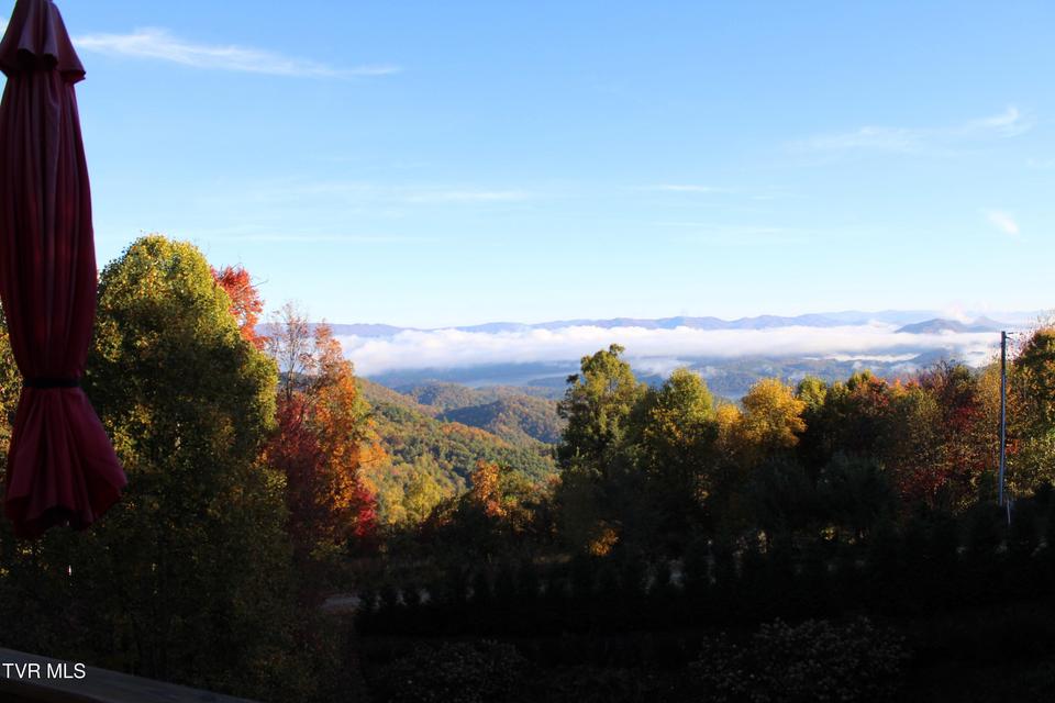 Photo #54: 807 Vista Road
