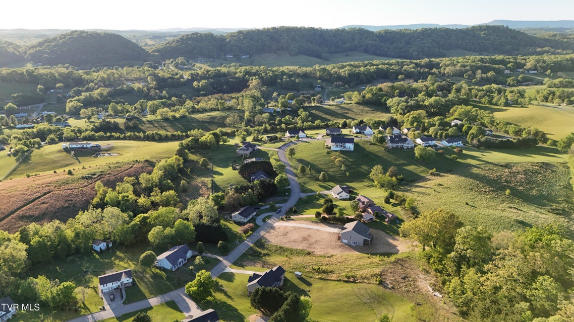 Photo #70: 234 Ridges Drive