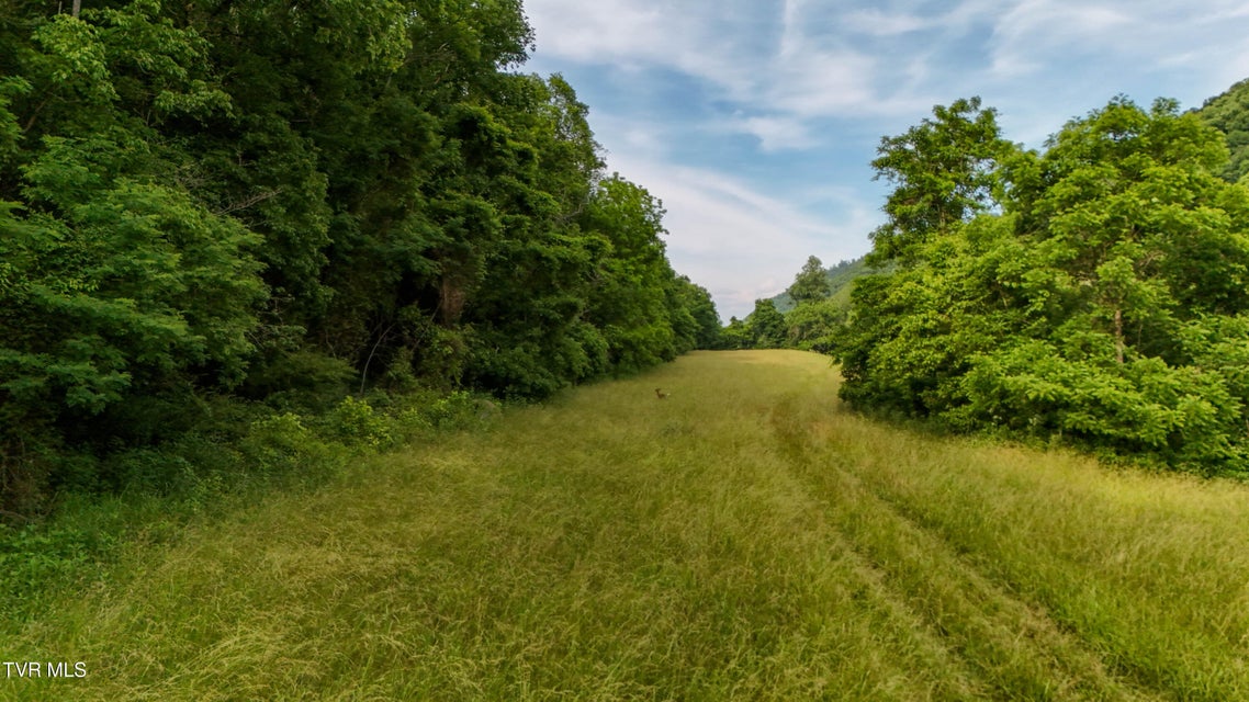 Photo #27: 0 Anglers Way Road