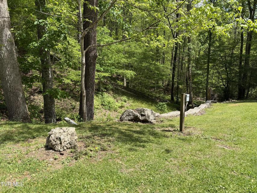 Photo #11: 372 Ingram Branch Road