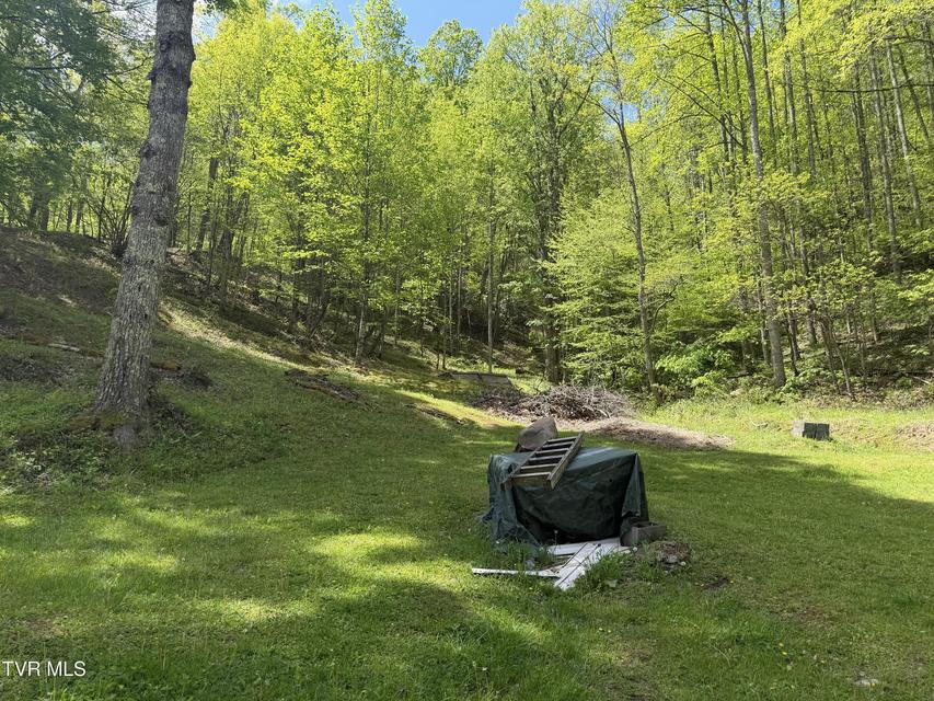 Photo #13: 372 Ingram Branch Road