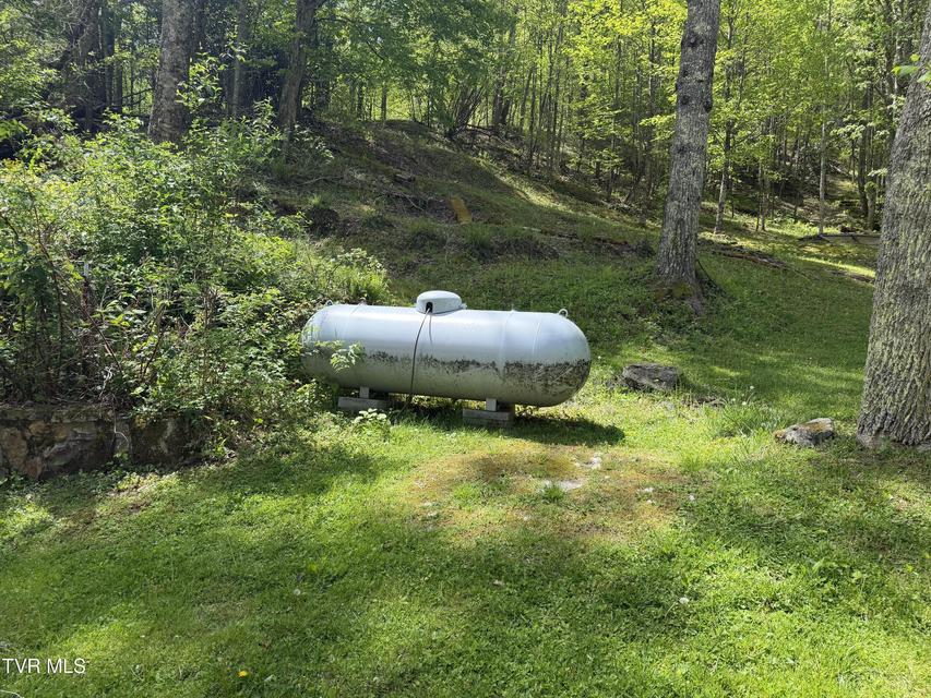 Photo #16: 372 Ingram Branch Road