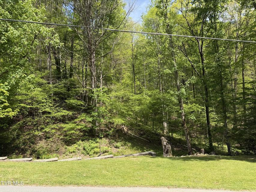 Photo #19: 372 Ingram Branch Road
