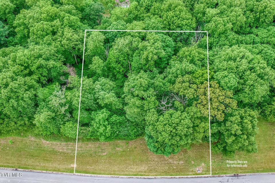 Photo #2: Lot 44 Chimney Top Lane