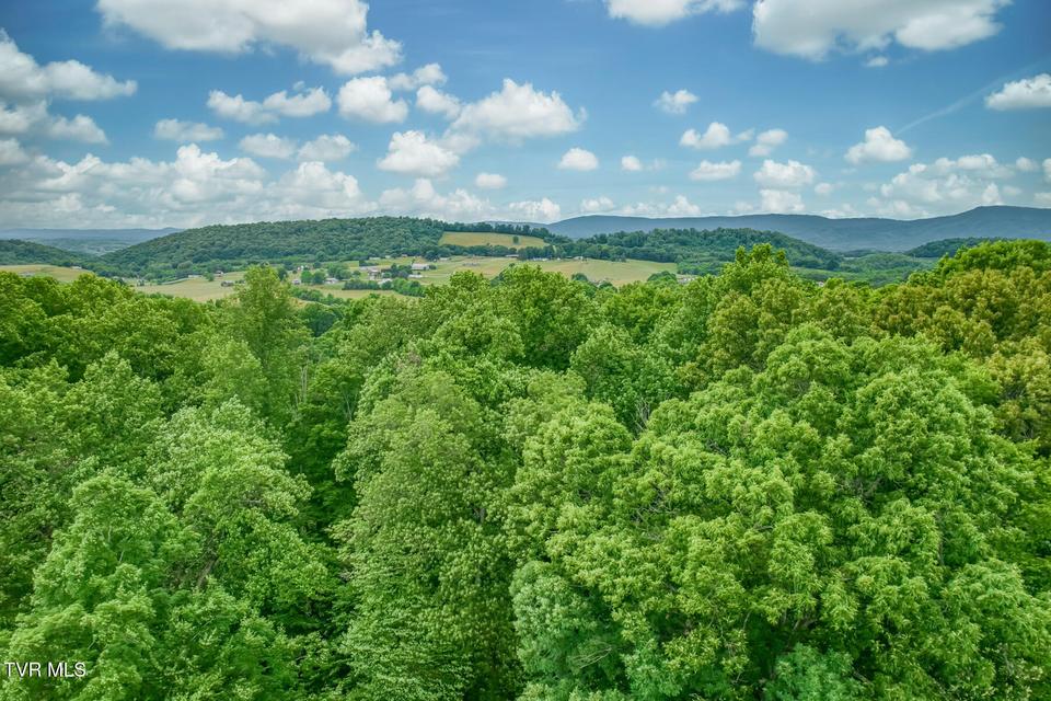 Photo #4: Lot 44 Chimney Top Lane