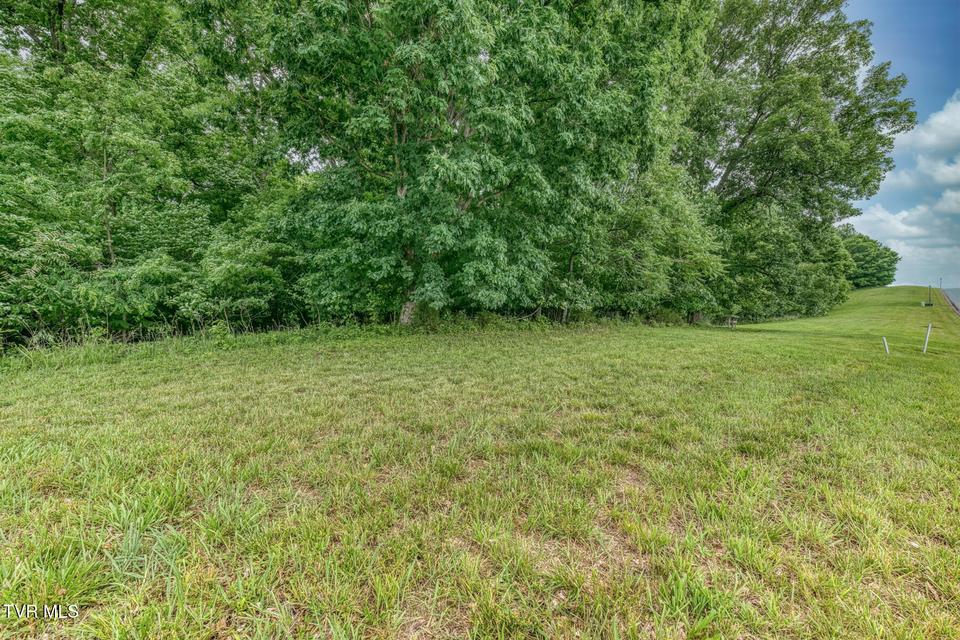 Photo #15: Lot 44 Chimney Top Lane