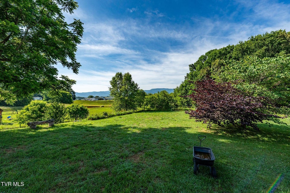 Photo #33: 154 Stockton Road