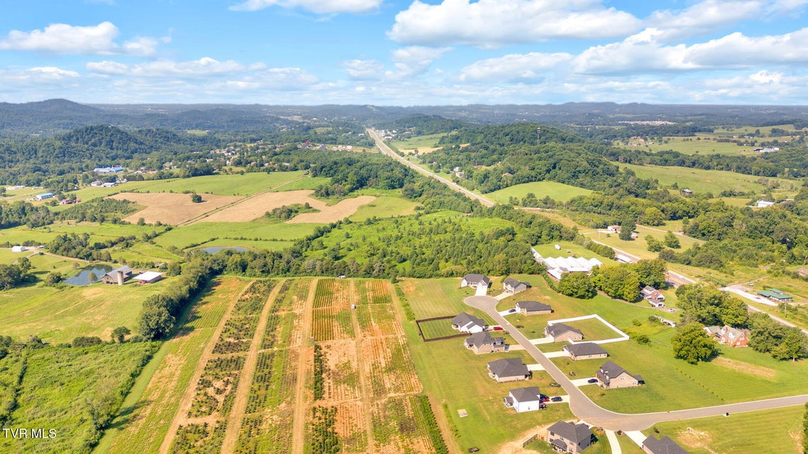 Photo #5: 6200 Bristol Highway