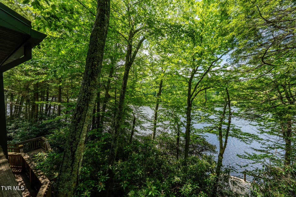 Photo #18: 206 Ripshin Lake Road