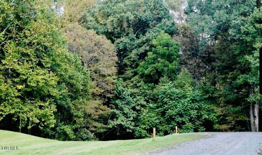 Photo #17: Lot 37 Draft Road