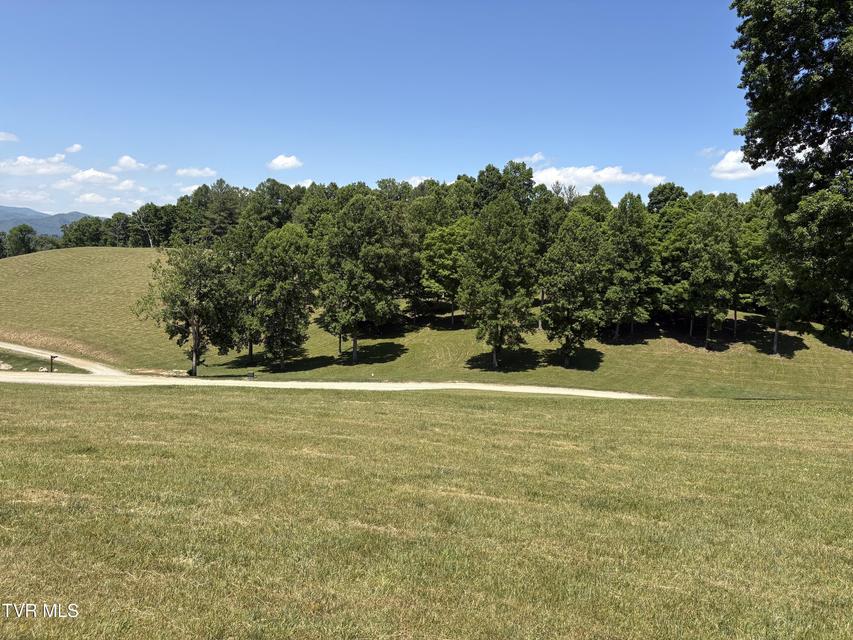 Photo #2: Lot 37 Draft Road