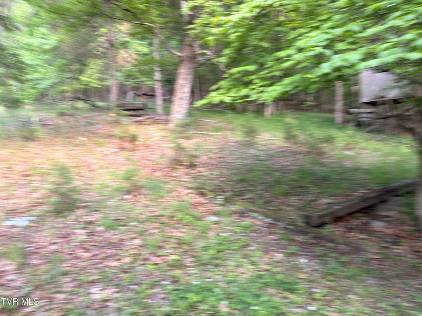 Photo #5: 6023 Mustang Drive