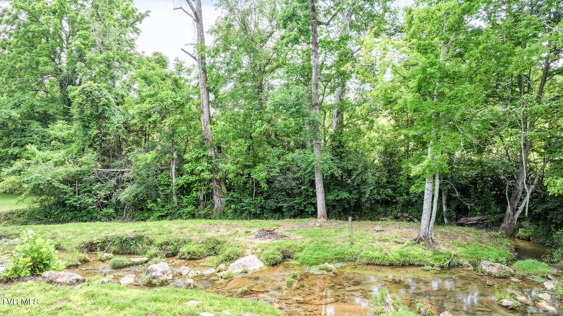 Photo #96: 540 Old Shiloh Road