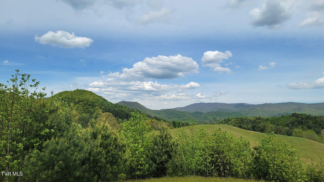 Photo #73: 1044 Waters Road