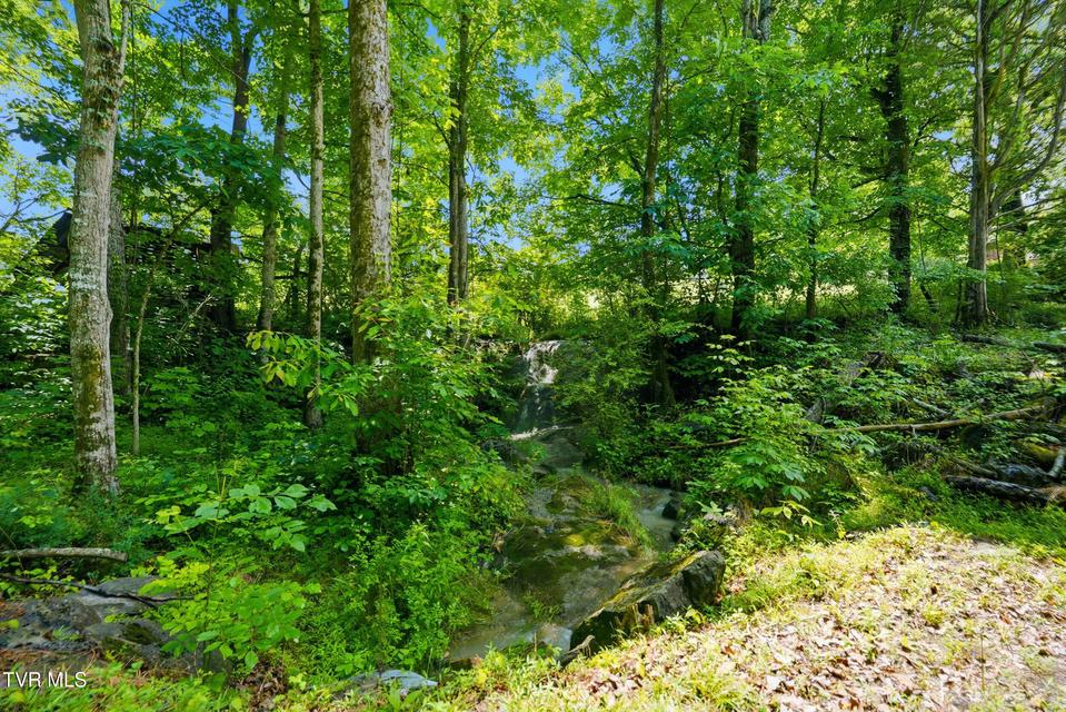 Photo #26: 307 Ollis Bowers Hill Road