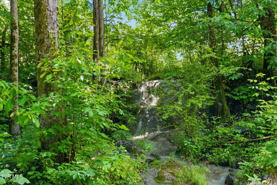 Photo #27: 307 Ollis Bowers Hill Road
