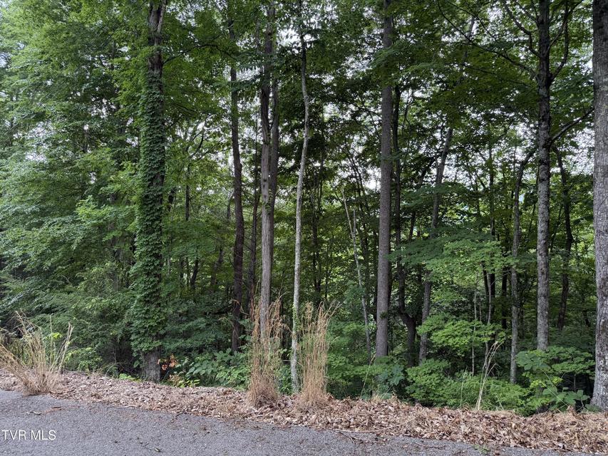 Photo #8: Tbd High Top Loop