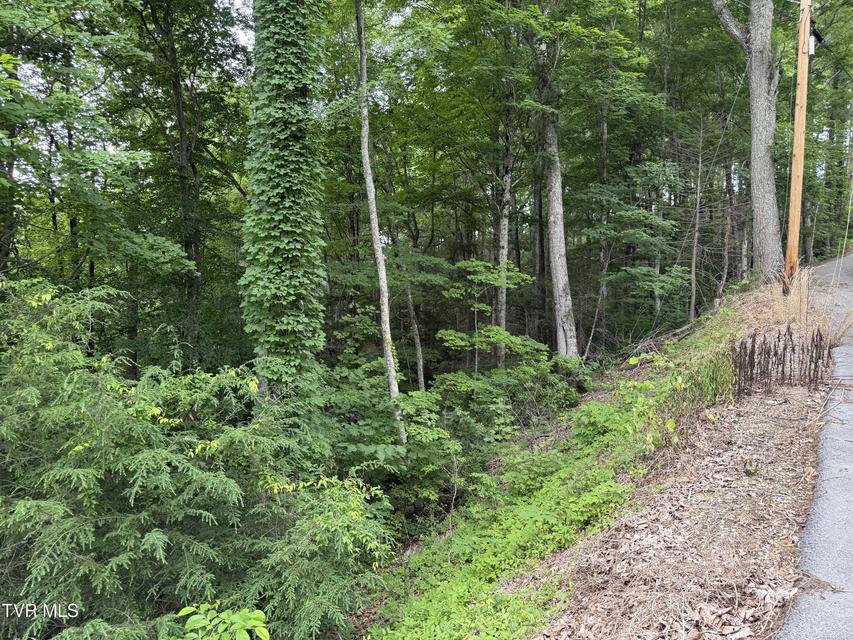 Photo #4: Tbd High Top Loop