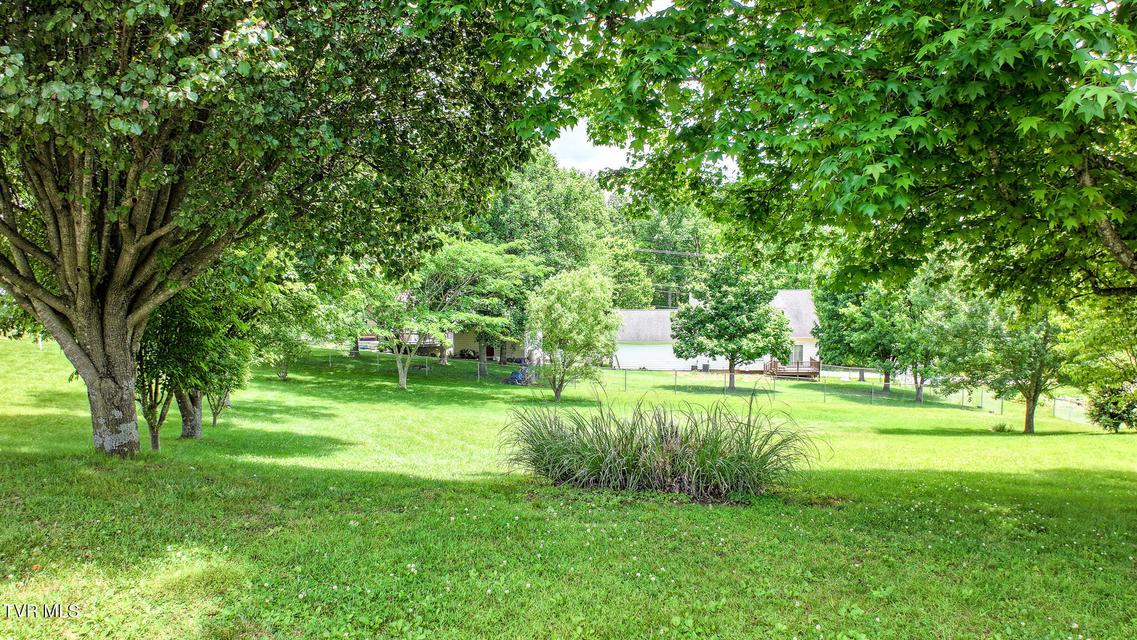 Photo #55: 220 Colricia Drive