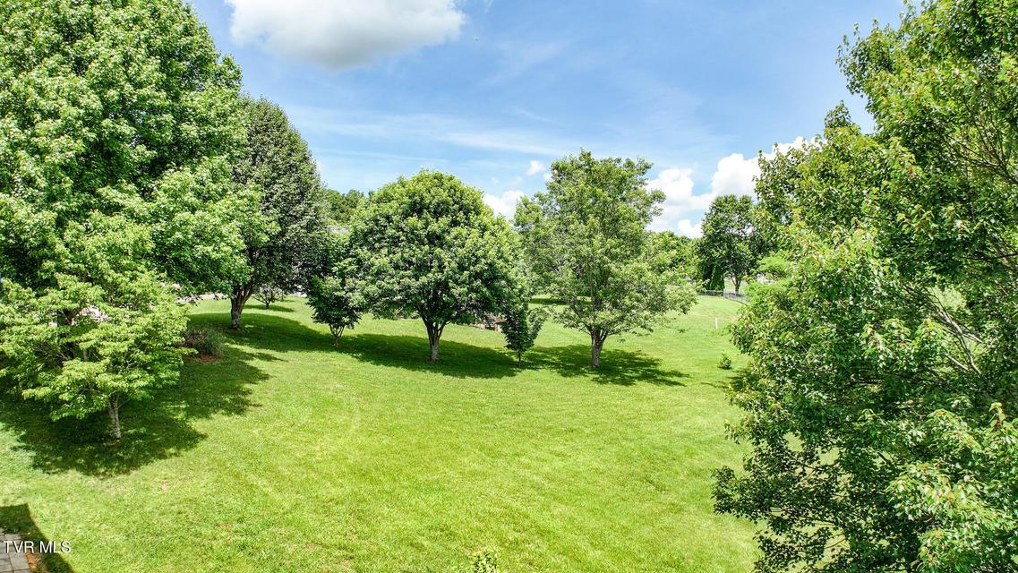 Photo #60: 220 Colricia Drive