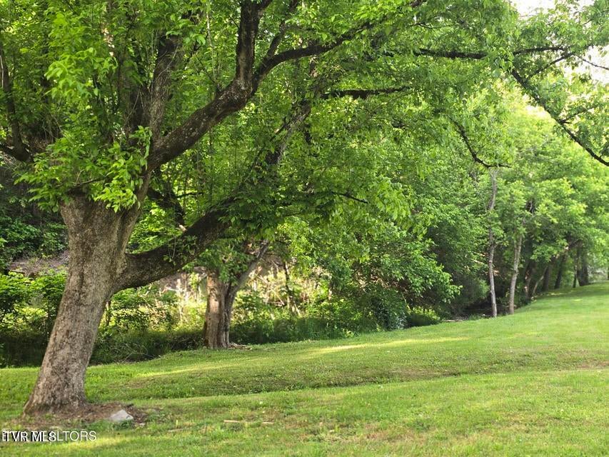 Photo #6: 2615 Stoney Fork Road