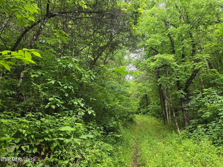 Photo #43: 2615 Stoney Fork Road