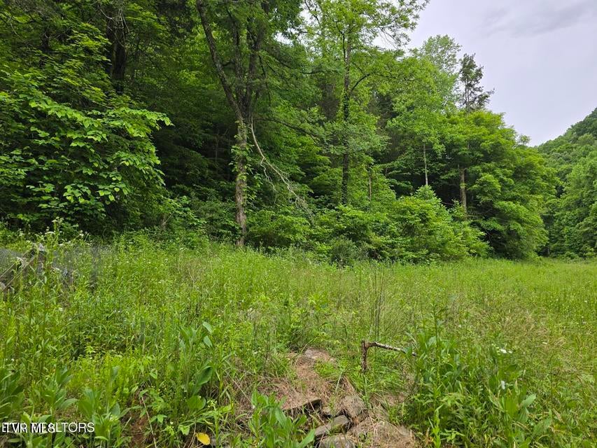 Photo #45: 2615 Stoney Fork Road