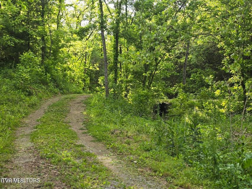 Photo #52: 2615 Stoney Fork Road