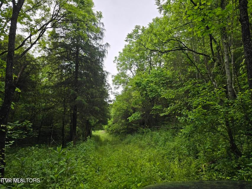 Photo #53: 2615 Stoney Fork Road