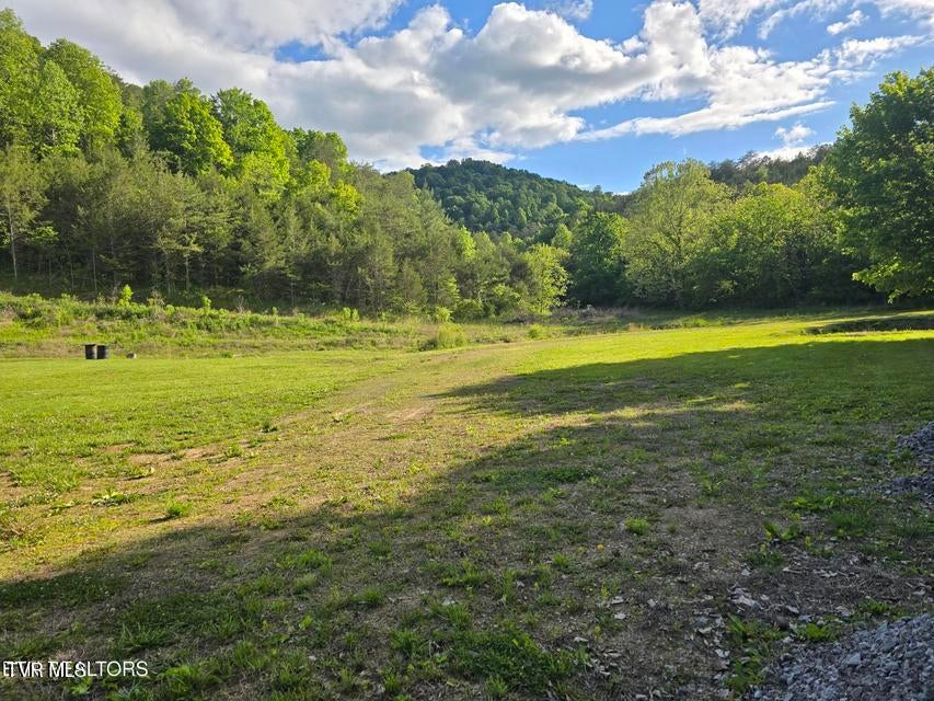 Photo #54: 2615 Stoney Fork Road