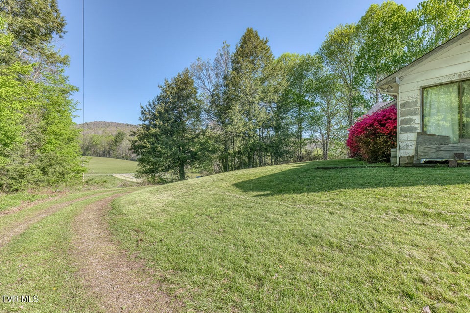 Photo #15: 1602 Winchester Road