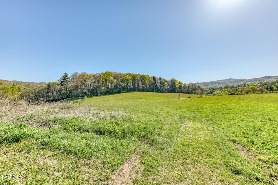 Photo #25: 1602 Winchester Road