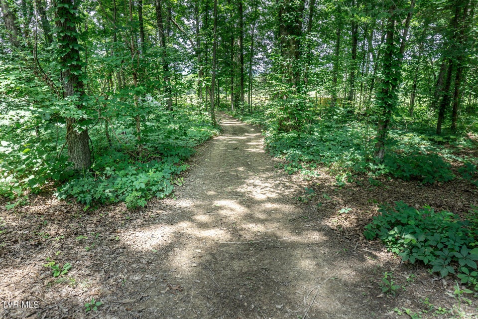 Photo #56: 835 Pike Road