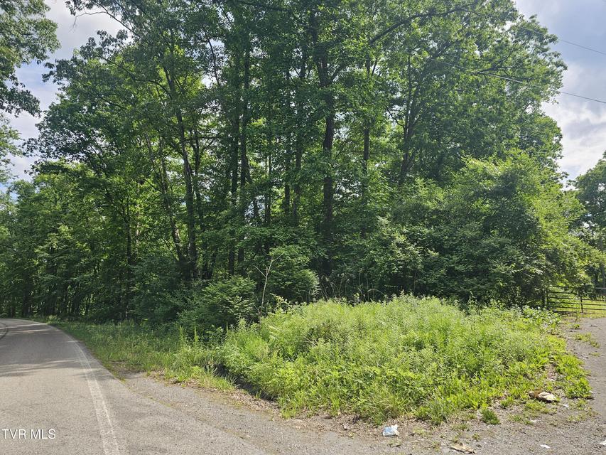 Photo #2: Tbd Indian Creek Road