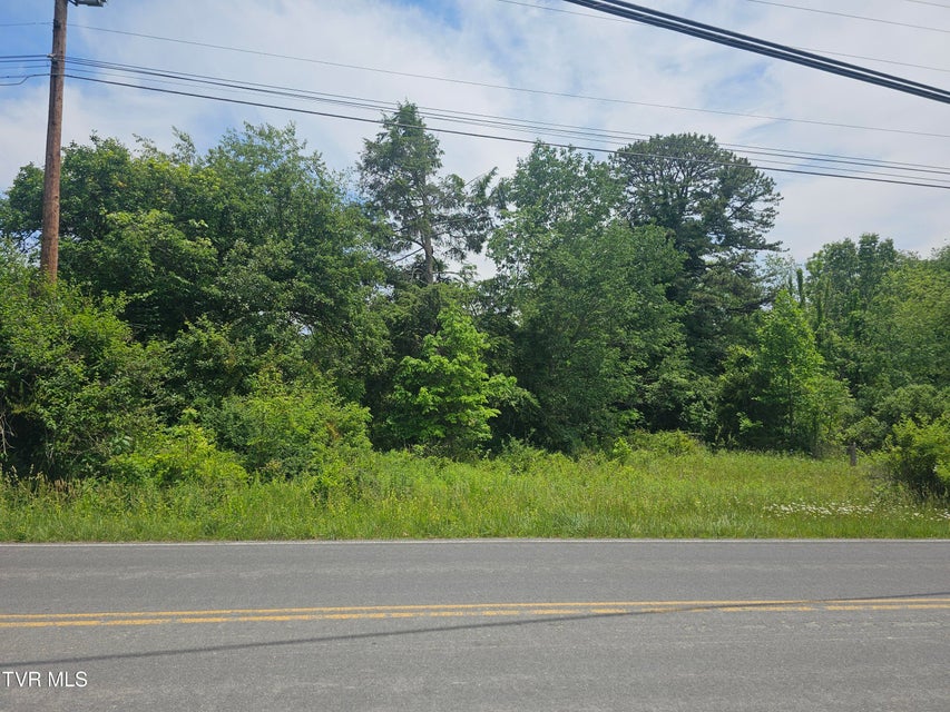Photo #4: Tbd Hurricane Road