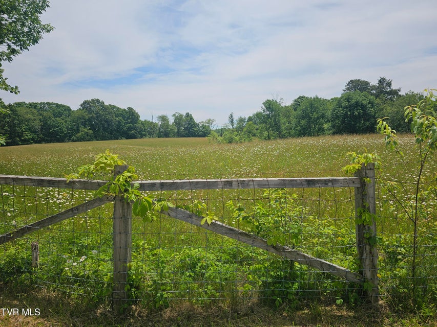Photo #5: Tbd Hurricane Road