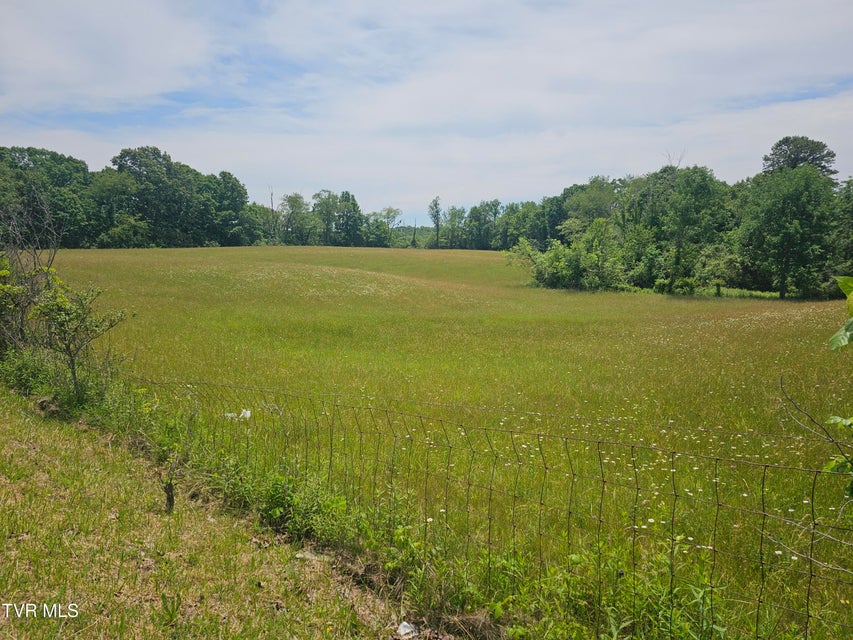 Photo #6: Tbd Hurricane Road