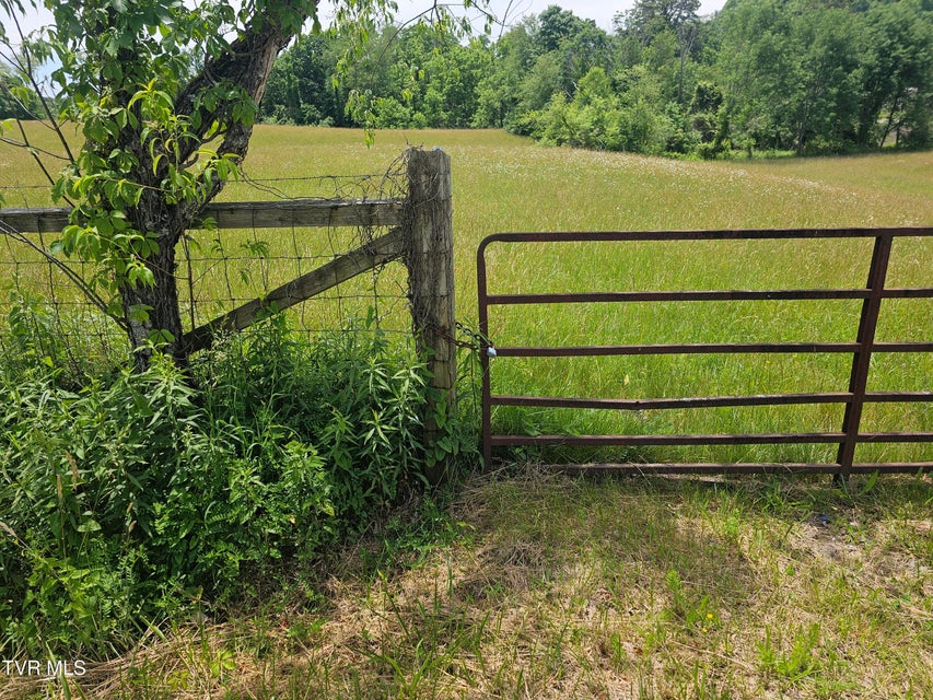 Photo #7: Tbd Hurricane Road